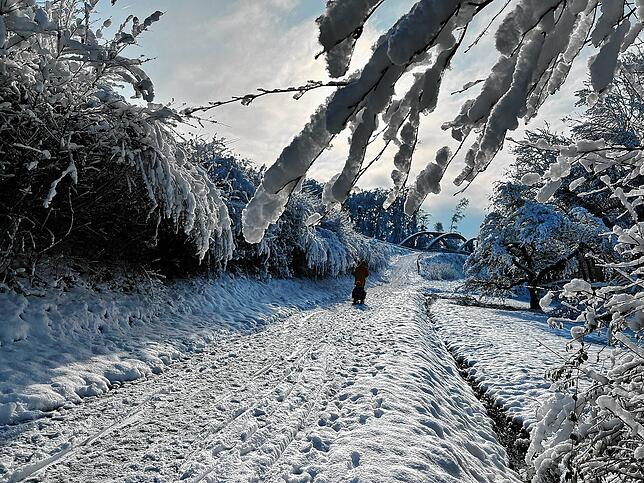 Der Wintereinbruch lädt zu langen Spaziergängen im Schnee ein.