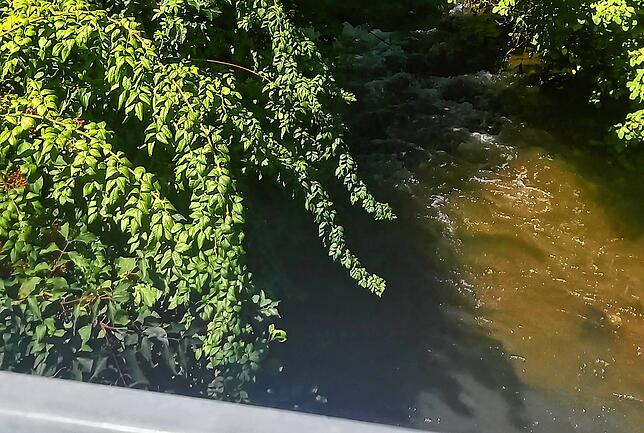 Dort, wo die Aach natürlich verläuft, gibt es auch reichlich Schatten, der den Fischen zugute kommt. Das Bild zeigt die Aach am ...