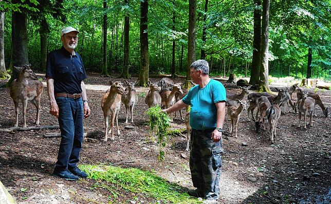 Zutraulich: Werner Jockers (links, Vorsitzender des Vereins Wildgehege Waldshut) und Gehegewart Andreas Armbruster beim Damwild-Rudel, ...
