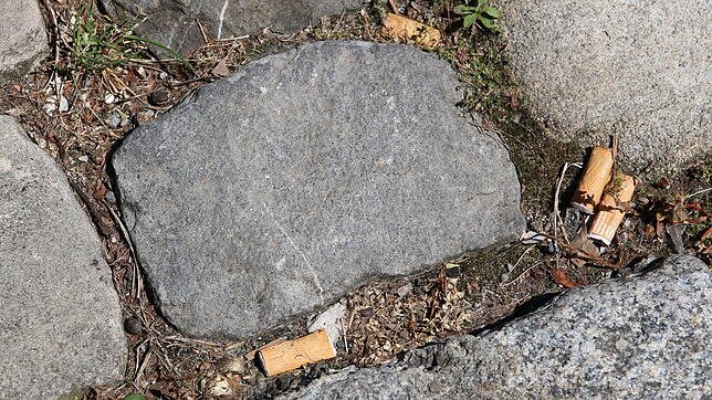 (Symbolbild) Das Wegwerfen von Zigarettenstummeln oder Getränkedosen könnte im Kanton Thurgau zukünftig hohe Bußgelder nach sich ziehen.