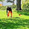 Protestaktion: Mit roten Fähnchen kennzeichneten Mitarbeiter des Todtmooser Bauhofes die im Alten Kurpark gefundenen Hundehaufen. Von ...