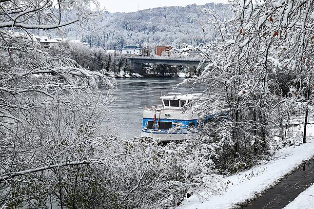 Bild 12: So schön ist der Schnee in Bad Säckingen und auf dem Hotzenwald! Wir haben die Bilder