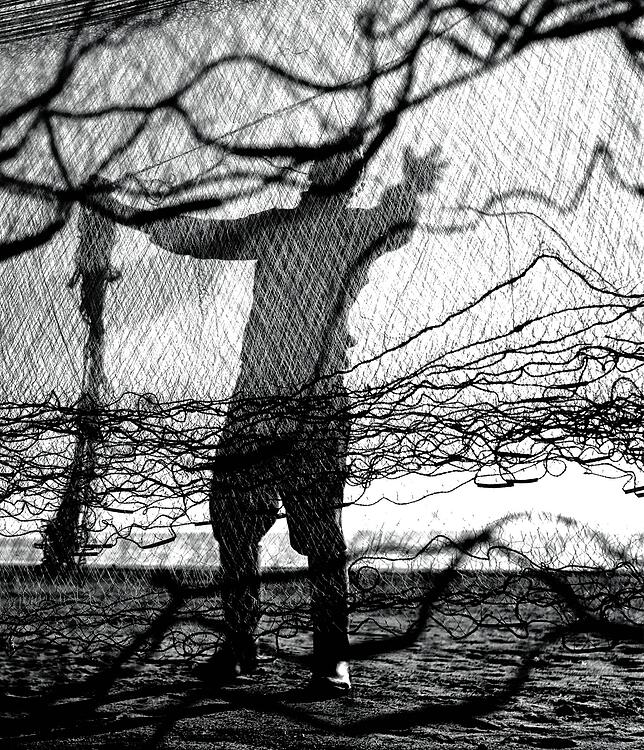 „Fischer“ (aus den 1950er-Jahren) aus der „fotoform-Zeit“ von Siegfrid Lauterwasser.