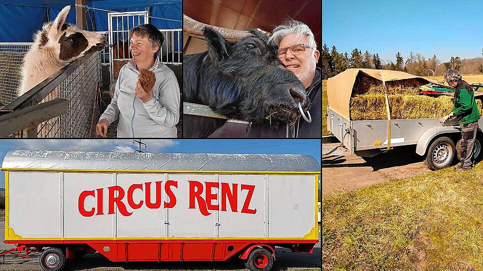 Bild : Ein Wanderzirkus kann nicht weiter: Familie Renz benötigt Futter für ihre 22 Tiere