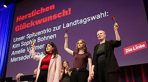 Die Linke will im März 2026 in den Landtag einziehen.