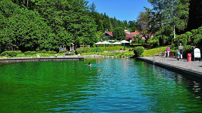 Frühschwimmer waren schon am Tag nach Gemeinderatsbeschluss am 15. Juni morgens um 9.30 Uhr im Wasser. Sie freuen sich über die Öffnung ...