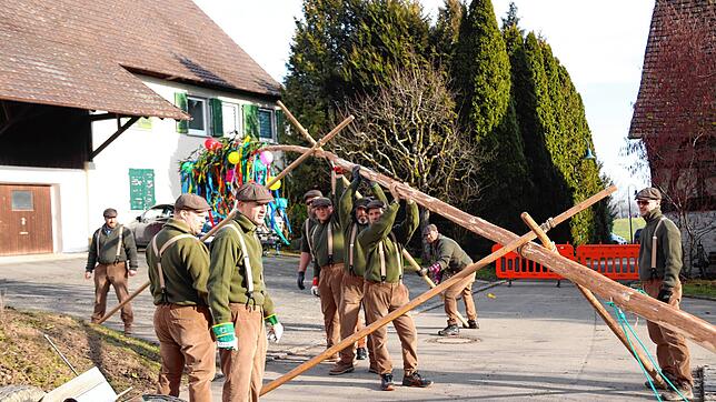 Bild : Die schönsten Bilder vom Hepbacher Narrenbaumstellen