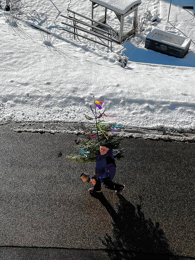 Günter Heer holt und stellt als Einzelkämpfer coronakonform den Nordhaldener Narrenbaum.