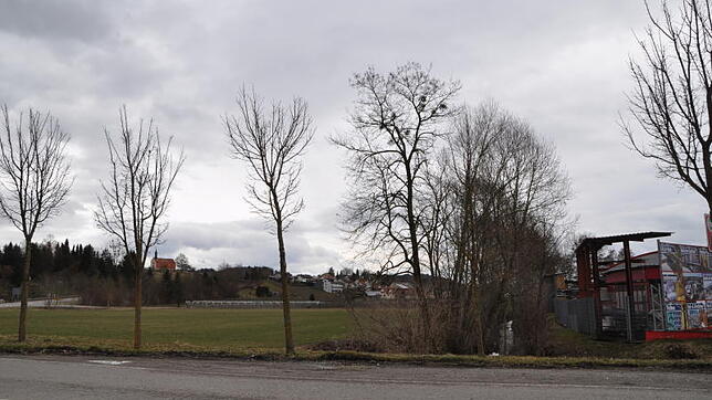 Auf der Freifläche neben dem Schneider-Baumarkt wird ein neues Gewerbegebiet für die Stadt Markdorf entstehen.