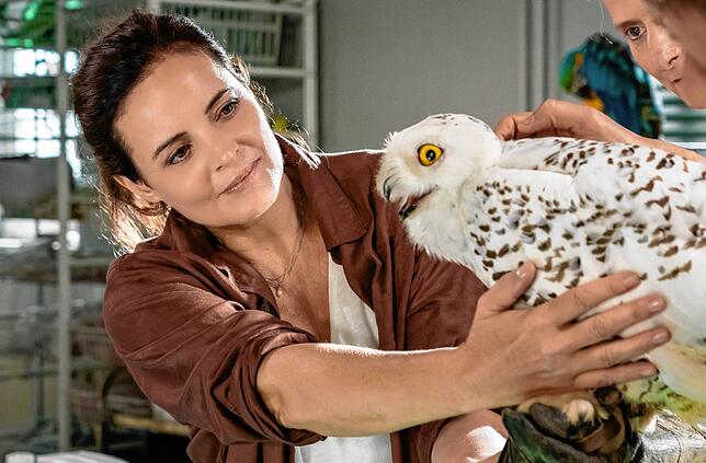 &bdquo;Tierärztin Dr. Mertens&ldquo; mit Elisabeth Lanz in der Titelrolle.