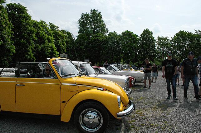 Autos jeden Alters und jeder Größe stehen auf dem Auplatz.