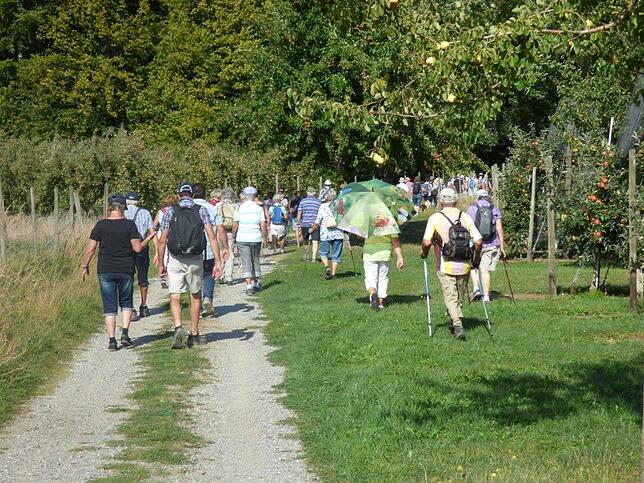 Bild 16: Mit dem SÜDKURIER durch die Apfelplantagen: Bilder der Wanderung