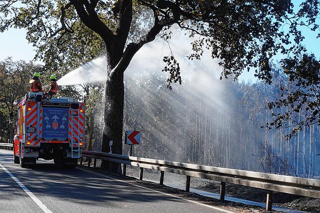 Waldbrand vor Berlin - Feuerwehr kämpft gegen die Glut Die Feuerwehr richten einen Wasserstrahl in den Wald. Der Waldbrand war der größte in Brandenburg seit vielen Jahren.