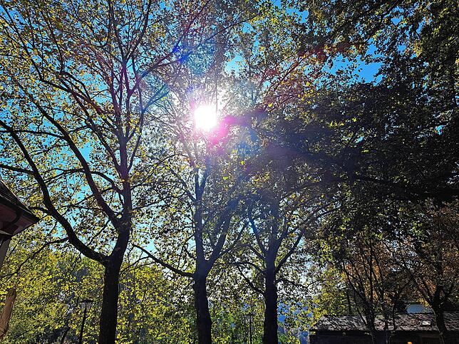 Die Sonne schien in September fast 260 Stunden &ndash; absoluter Rekord.
