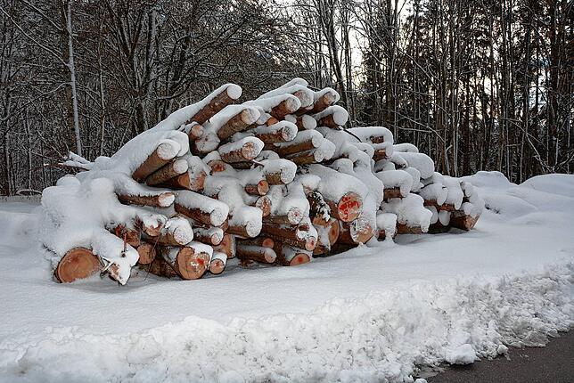 Bizarre Holzstöße am Gampen bilden mit dem Schnee die reinsten Kunstwerke. Bild: Hans Herrmann