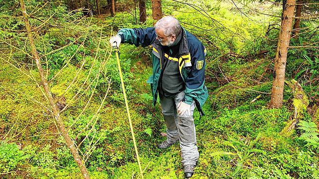 Bis zu einem Meter tief sind die alten Entwässerungsgräben, die nun so verpfropft werden, dass etwa 100 kleine Tümpel im Wald entstehen.
