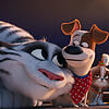 Hu (von links), Max, Daisy und Snowball in einer Szene von &bdquo;Pets 2&ldquo;. Der Film kommt am 27. Juni 2019 in die Kinos.