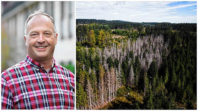 Bild : SÜDKURIER-Zeitungswald: Wie sieht der Schwarzwald in 100 Jahren aus?