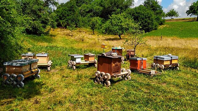 Der Imkerverein setzt sich durch die Arbeit mit den Bienen aktiv für die heimische Artenvielfalt ein. Das Bild zeigt den Vereinsstand.