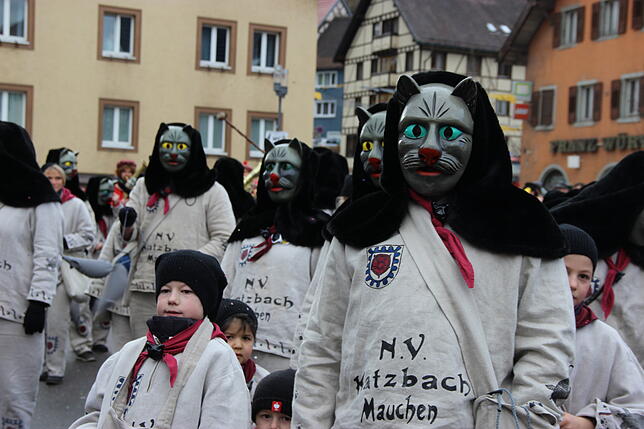 Bild 14: Der Fasnetumzug in Stühlingen in Bildern (2)