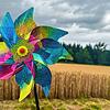 Während dieses Windrad eine reine Zierde ist, sollen die drei geplanten Windräder auf Engener Gemarkung richtig viel Strom produzieren.