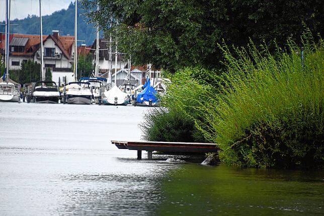 Auch hier nähert sich das Wasser immer mehr dem Holz.