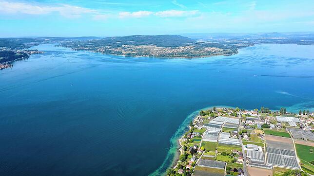 Der Bodensee ist groß und 251 Meter tief. Aber wie schneidet er im Tiefenvergleich mit den größten Seen ab?