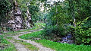 Die Tengener Mühlbachschlucht ist ein Wandererlebnis, bei dem man einen 13-Meter-Wasserfall bestaunen kann. Unten in der Schlucht ...