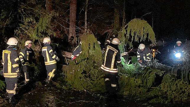 Am Donnerstagabend hatte die Eigeltinger Feuerwehr mehrere Einsätze wegen umgestürzten Bäumen wie diesem hier.