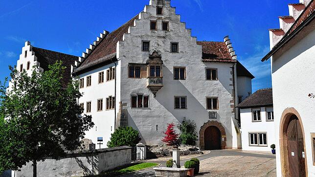 Bild : Zwei Flächen statt &bdquo;nur&ldquo; Schloss Blumenfeld: Wettbewerb für neuen Eigentümer beginnt