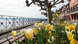 Die Promenade in Meersburg.