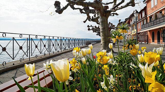 Die Promenade in Meersburg.