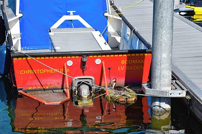 Home sweet home am Heck des DLRG-Boots: Das Nest der Haubentaucher am Heck des DLRG-Boots Christopherus II .