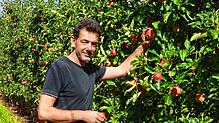 Bruno Preis ist Obstbauer und Vorsitzender des Obstbaurings Waldshut. Er spricht über die Ernte 2025.