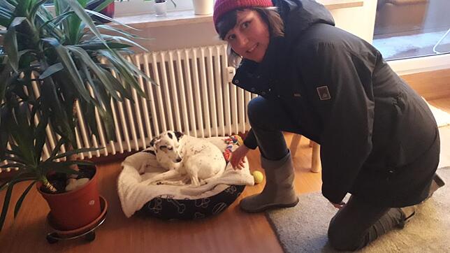 Bettina Schirmer-Stein mit Hund Kimba, der in aller Regel vier Stunden alleine zu Hause verbringt. Mit der Katze der Familie versteht ...