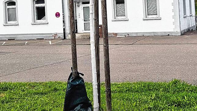 Vor dem Lauchringer Bahnhof hängt ein Bewässerungssack an einem Stützpfahl neben einem noch jungen Baum.