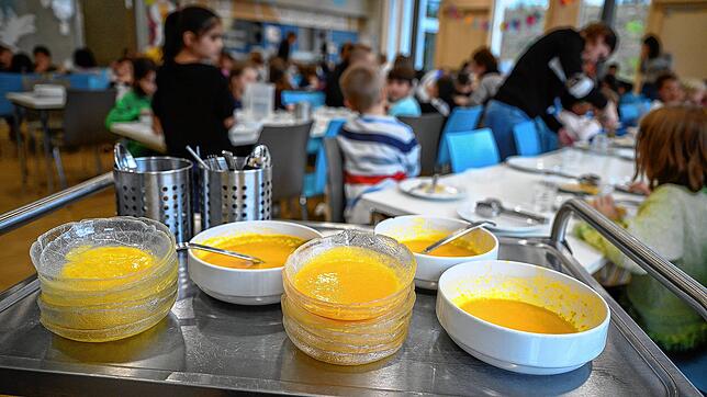 Bild : Freiburg Grundschulen: Nur noch vegetarisches Essen