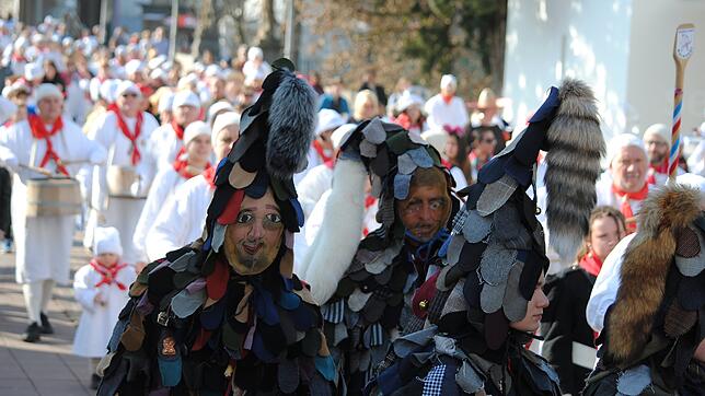 Ein Höhepunkt der Waldshuter Fasnacht war auch im Jahr 2019 der Kinderumzug am Schmutzigen Dunschdig. Angeführt wurde die muntere ...