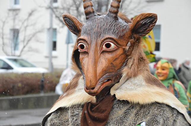 Bild 8: Bilder vom Narrensprung beim Ringtreffen des Alemannischen Narrenrings (Teil 1)