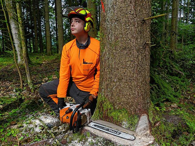 Mithilfe eines Strichs auf der Kettensäge, kann der 17-Jährige die Fällrichtung des Baumes bestimmen. Dafür muss aber die ausgesägte ...