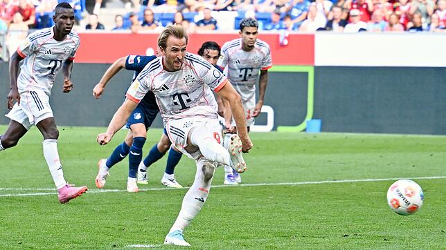 Harry Kane war nicht nur vom Punkt treffsicher.
