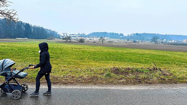 Auf dieser landwirtschaftlichen Fläche an der Windhager Straße wollte ein Investor einen Solarpark bauen. Der Gemeinderat ist dagegen.