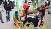 Die Holztage der Holzkette Schwarzwald, die in diesem Jahr in St. Peter stattfinden, zeigen den regenerativen Werkstoff Holz in seiner ...