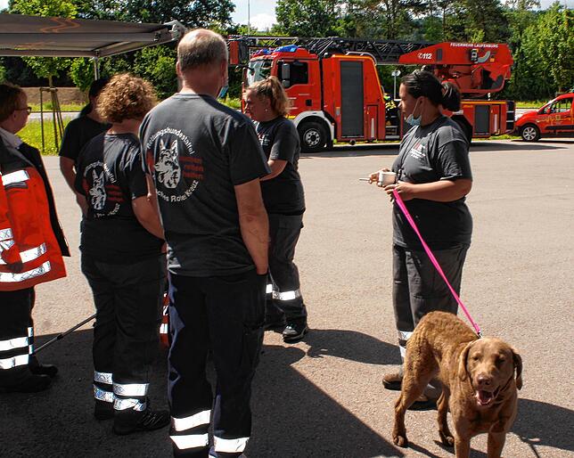 Zunächst wurde das Gebiet in der Nähe des Wohnortes Hochsal systematisch abgesucht, wobei auch Hundestaffeln mit Personenspürhunden und ...