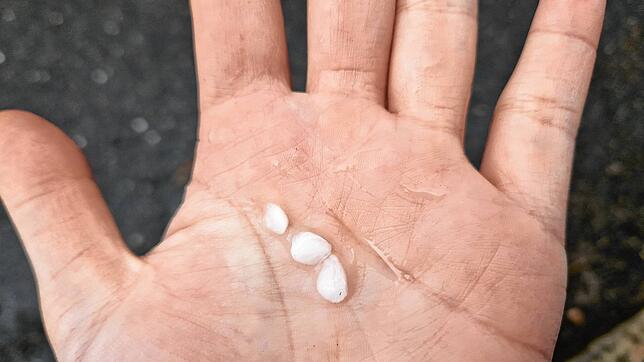April. April &ndash; ach, halt, ist es ja noch gar nicht. Auf Wetterkapriolen am Bodensee müssen wir uns trotzdem einstellen.