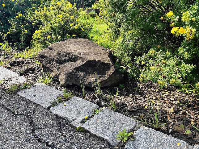 Dieser Stein liegt nicht von ungefähr am Rande eines Gartens. Hier haben die Anwohner schon Reifenspuren von Lastwagen entdeckt &ndash; ...