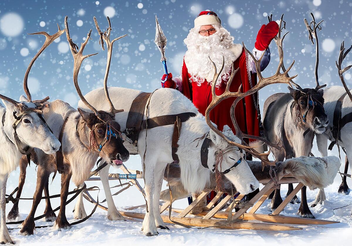 Wie Heißen Die Rentiere Vom Weihnachtsmann Auf Deutsch