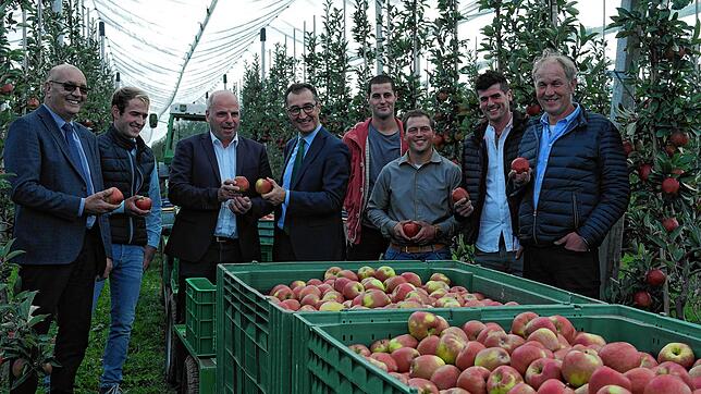Im Gespräch (von links): Franz Josef Müller, Präsident des Landesverbands Erwerbsobstbau, Landwirt Lukas Haas, Martin Hahn, ...