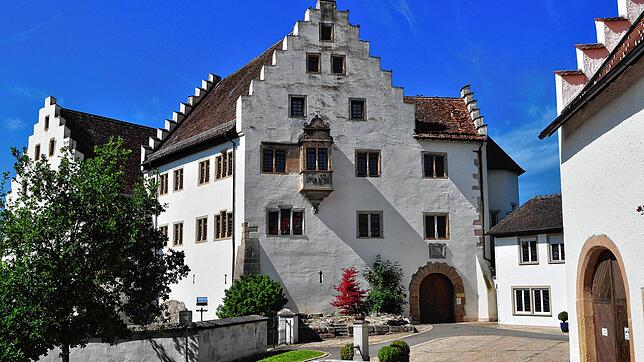 Soll Arbeits- und Wohnräume für Kreative und Start ups bieten: das Schloss Blumenfeld. Tengen lobt in einem Wettbewerb günstige Räume ...