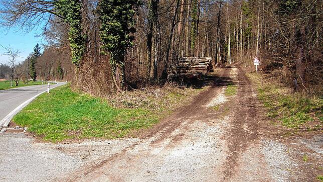 Der Landkreis will nördlich der schmalen Kreisstraße (links) von Kaltbrunn zum Wildpark einen Radweg bauen. Das Vorhaben verzögerte ...